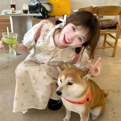 福尔摩斯小姐：失踪的侯爵